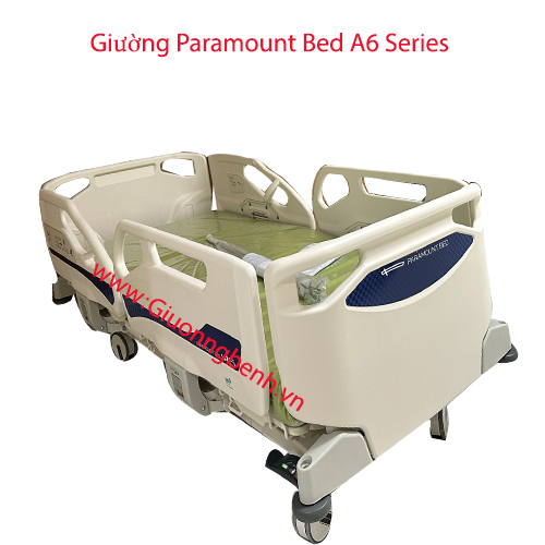 Giường người già Paramount Bed A6 Series